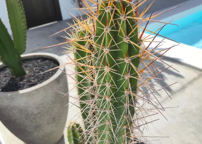 Casa Natalia 아파트 *