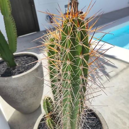 Casa Natalia Daire *